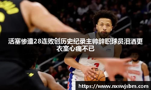 XK星空官网